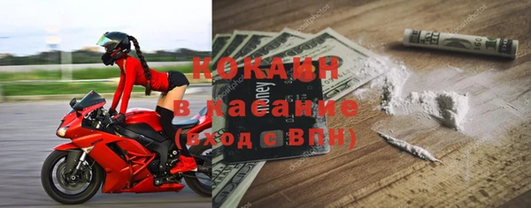 сатива Баксан