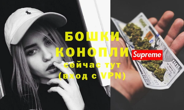 сатива Баксан