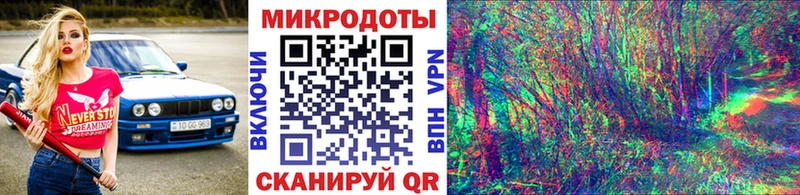 Галлюциногенные грибы GOLDEN TEACHER дарк нет формула Верея