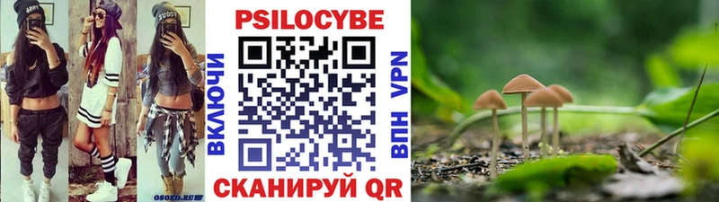 Галлюциногенные грибы мухоморы Верея